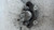 FIAT PANDA «III» (2012) IMPIANTO FRENANTE PINZA FRENO ANT. SX. USATO Da 2012 in poi [[221971]]