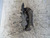 NISSAN PRIMASTAR (2003) IMPIANTO FRENANTE PINZA FRENO ANT. DX. USATO Da 2002 A 2006 [[222919]]
