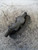 NISSAN PRIMASTAR (2003) IMPIANTO FRENANTE PINZA FRENO ANT. SX. USATO Da 2002 A 2006 [[222920]]