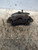 FIAT PANDA «III» (2012) IMPIANTO FRENANTE PINZA FRENO ANT. SX. USATO Da 2012 in poi [[223677]]