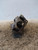 ALFA ROMEO GIULIETTA (2016) IMPIANTO FRENANTE PINZA FRENO POST. DX. USATO Da 2016 in poi [[224478]]