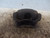 OPEL CORSA «D» (2007) IMPIANTO FRENANTE PINZA FRENO ANT. DX. USATO Da 2006 A 2010 [[224887]]
