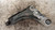 BRACCIO OSCILLANTE ANT. SX. USATO DAL 2008 AL 2011 RENAULT SCÉNIC «III» X-MOD (2009) 545016101R [[227623]]