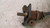 GREAT WALL HOVER 5  4WD 2.4B/GPL CAMBIO E TRASMISSIONE SEMIASSE ANT. SX. USATO [[229667]]