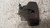 OPEL ASTRA «H» (2005) IMPIANTO FRENANTE PINZA FRENO ANT. SX. USATO Da 2007 A 2009 [[240503]]