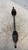 FIAT GRANDE PUNTO (2006) CAMBIO E TRASMISSIONE SEMIASSE ANT. SX. USATO [[240304]]