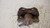 PINZA FRENO ANT. DX. USATO DAL 2004 AL 2009 FIAT PANDA «II» (2004) 77365544 [[237450]]