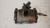 FORD FOCUS «IV»  (2014) IMPIANTO FRENANTE PINZA FRENO POST. DX. USATO Da 2014 in poi [[237153]]