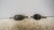 OPEL MERIVA «B» (2014) CAMBIO E TRASMISSIONE SEMIASSE ANT. SX. USATO Da 2014 in poi [[235707]]