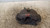 OPEL MERIVA «B» (2014) IMPIANTO FRENANTE PINZA FRENO ANT. DX. USATO Da 2014 in poi [[235706]]