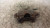 PINZA FRENO ANT. DX. USATO DAL 2001 AL 2005 FIAT DOBLÒ «I» (2001) 7082145 [[235060]]