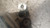NISSAN QASHQAI «II» (2017) IMPIANTO FRENANTE PINZA FRENO POST. DX. USATO Da 2017 in poi [[234997]]