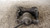 NISSAN QASHQAI «II» (2017) IMPIANTO FRENANTE PINZA FRENO ANT. DX. USATO Da 2017 in poi [[234993]]