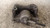 NISSAN QASHQAI «II» (2017) IMPIANTO FRENANTE PINZA FRENO ANT. SX. USATO Da 2017 in poi [[234992]]