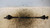 FIAT TEMPRA (1990) CAMBIO E TRASMISSIONE SEMIASSE ANT. DX. USATO Da 1990 A 1993 [[234742]]