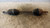 FIAT PANDA «II» (2009) CAMBIO E TRASMISSIONE SEMIASSE ANT. SX. USATO Da 2009 A 2010 [[234659]]