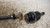 CHEVROLET SPARK (2010) CAMBIO E TRASMISSIONE SEMIASSE ANT. DX. USATO Da 2010 A 2013 [[234228]]