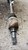 RENAULT CLIO «III» (2006) CAMBIO E TRASMISSIONE SEMIASSE ANT. SX. USATO Da 2010 A 2012 [[234182]]