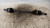 SUBARU IMPREZA «IV» (2008) CAMBIO E TRASMISSIONE SEMIASSE ANT. DX. USATO Da 2007 in poi [[234164]]