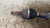 MAZDA 2 «II» (2008) CAMBIO E TRASMISSIONE SEMIASSE ANT. SX. USATO Da 2007 A 2010 [[234009]]