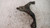 HYUNDAI TUCSON «I» (2005) ASSALE BRACCIO OSCILLANTE ANT. DX. USATO Da 2006 A 2010 [[233997]]