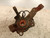 RENAULT CLIO «III» SW (2006) ASSALE FUSELLO RUOTA ANT. SX. USATO Da 2007 in poi [[244073]]