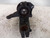 CITROEN C3 AIRCROSS (2017) ASSALE FUSELLO RUOTA ANT. DX. USATO Da 2017 A 2021 [[244646]]