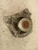 VOLKSWAGEN GOLF «V» (2004) IMPIANTO ELETTRICO ALTERNATORE USATO Da 2003 A 2008 [[244423]]