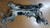 FORD KUGA «II» (2016) ASSALE ASSALE ANT. USATO Da 2016 in poi [[244725]]