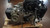 LANCIA YPSILON «III» (2015) MOTORE MOTORE SEMICOMPLETO USATO Da 2020 A 2021 [[227008]]