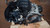 LANCIA YPSILON «III» (2015) MOTORE MOTORE SEMICOMPLETO USATO Da 2020 A 2021 [[227008]]