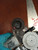 TOYOTA COROLLA VERSO «I» (2002) CRISTALLI ALZACRISTALLO PORTA POST. DX. USATO Da 2001 A 2004 [[245193]]
