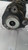 FIAT DUCATO «290» (2014) ASSALE AMMORTIZZATORE ANT. SX. USATO Da 2014 in poi [[245734]]