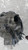 AUDI Q3 «F3N» SPORTBACK (2019) TERMICO COMPRESSORE A/C USATO Da 2021 in poi [[246252]]