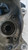 AUDI Q3 «F3N» SPORTBACK (2019) ASSALE FUSELLO RUOTA ANT. SX. USATO Da 2021 in poi [[246233]]