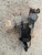 TOYOTA YARIS (FRANCE ) «II» (2006) STERZO CILINDRETTO / COMMUTATORE ACCENSIONE USATO Da 2005 A 2009 [[243934]]