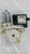 VOLVO V50 (2004) CRISTALLI MOTORINO ALZACRISTALLO PORTA POST. DX. USATO Da 2004 A 2010 [[246639]]