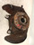 FUSELLO RUOTA ANT. SX. USATO DAL 2010 AL 2014 BMW X3 «F25» (2011) 31216855953 [[243755]]
