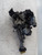 FIAT PANDA «III» (2012) MOTORE RADIATORE OLIO USATO Da 2015 in poi [[242232]]