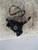 FIAT PANDA «II» (2004) ASSALE FUSELLO RUOTA ANT. DX. USATO Da 2004 A 2009 [[222520]]