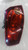 FIAT CROMA «II» (2005) FANALERIA FANALE EST. POST. SX. USATO Da 2005 A 2007 [[247192]]