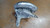 FUSELLO RUOTA POST. DX. USATO DAL 2011 AL 2012 BMW SERIE 5 «F11» TOURING (2010) 33326796100 [[247938]]