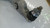 VOLVO XC60 «II» (2017) ASSALE BRACCIO OSCILLANTE INF. ANT. SX. USATO Da 2019 in poi [[248029]]