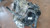 CAMBIO (REVISIONATO) USATO DAL 2019 VOLVO XC60 «II» (2017) 3138617 [[248128]]