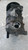 AUDI A3 «8VF» SPORTBACK (2016) TERMICO COMPRESSORE A/C USATO Da 2018 in poi [[248254]]