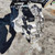 LAND ROVER RANGE ROVER EVOQUE «I» (2015) CAMBIO E TRASMISSIONE CAMBIO USATO Da 2015 in poi [[248306]]