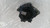 HYUNDAI I20 «II» (2014) IMPIANTO ELETTRICO ALTERNATORE USATO Da 2014 A 2018 [[248507]]