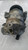 AUDI Q2 «GAB» (2016) TERMICO COMPRESSORE A/C USATO Da 2016 in poi [[248534]]
