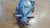 DIFFERENZIALE (REVISIONATO) POST. USATO DAL 2012 BMW X1 «E84» (2010) 7611131 [[248670]]