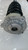 AUDI Q5 «FYB» (2016) ASSALE AMMORTIZZATORE ANT. SX. USATO Da 2016 in poi [[248826]]